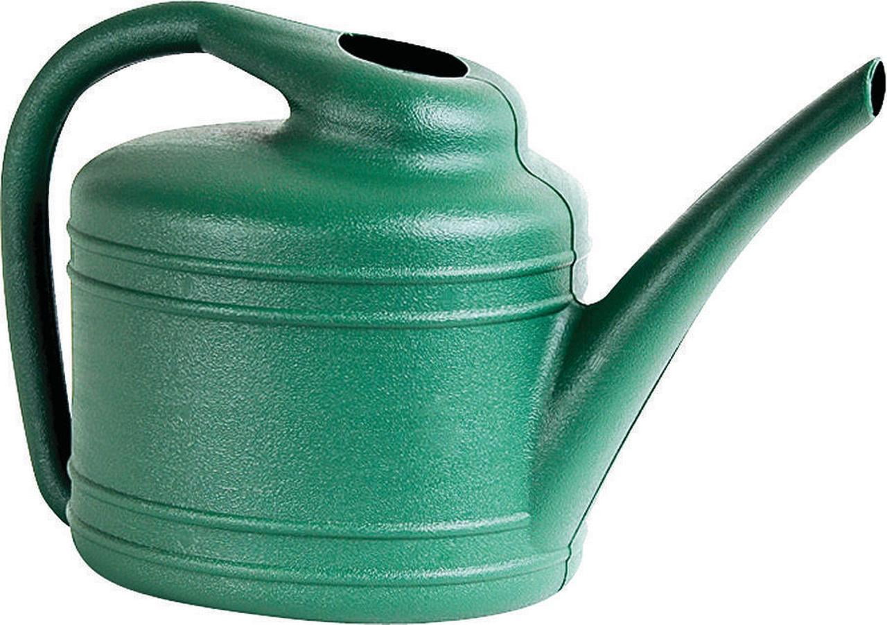 Southern Patio WC4012FE Watering Can, 1 gal, 14 in Dia X 8-1 2 in H, Long, Plastic, Green by Ames True Temper