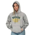 thumbnail image 4 of Wisconsin Say Cheese State Shape Unisex Plus Fleece Graphic Hoodie Brisco Brands 2X, 4 of 5