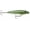Baby Bass, variant on Rapala Skitterwalk 08 Topwater Fishing Lure 3 1/8" 7/16oz Gold Mullet