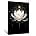 Black and White Lotus Flower Painting - 1