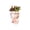 A, variant on 4.3" Girl Face Planters Pots Head, Small Pot with Drainage Holes Flower Pot Head Planter Garden Pots for Plants Lover Decorative Planter for Indoor and Outdoor Plants, A