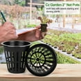 thumbnail image 4 of 100Pcs Grow Orchids Wide Lip Universal Hydroponics Cups Planting Mesh Pot Soilless Net Basket Slotted Container Colonization Black, 4 of 4