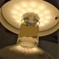 thumbnail image 2 of Wireless Bottle Lamp,Bottly Wireless Bottle Lamp, Bottle Lights, 2 of 5