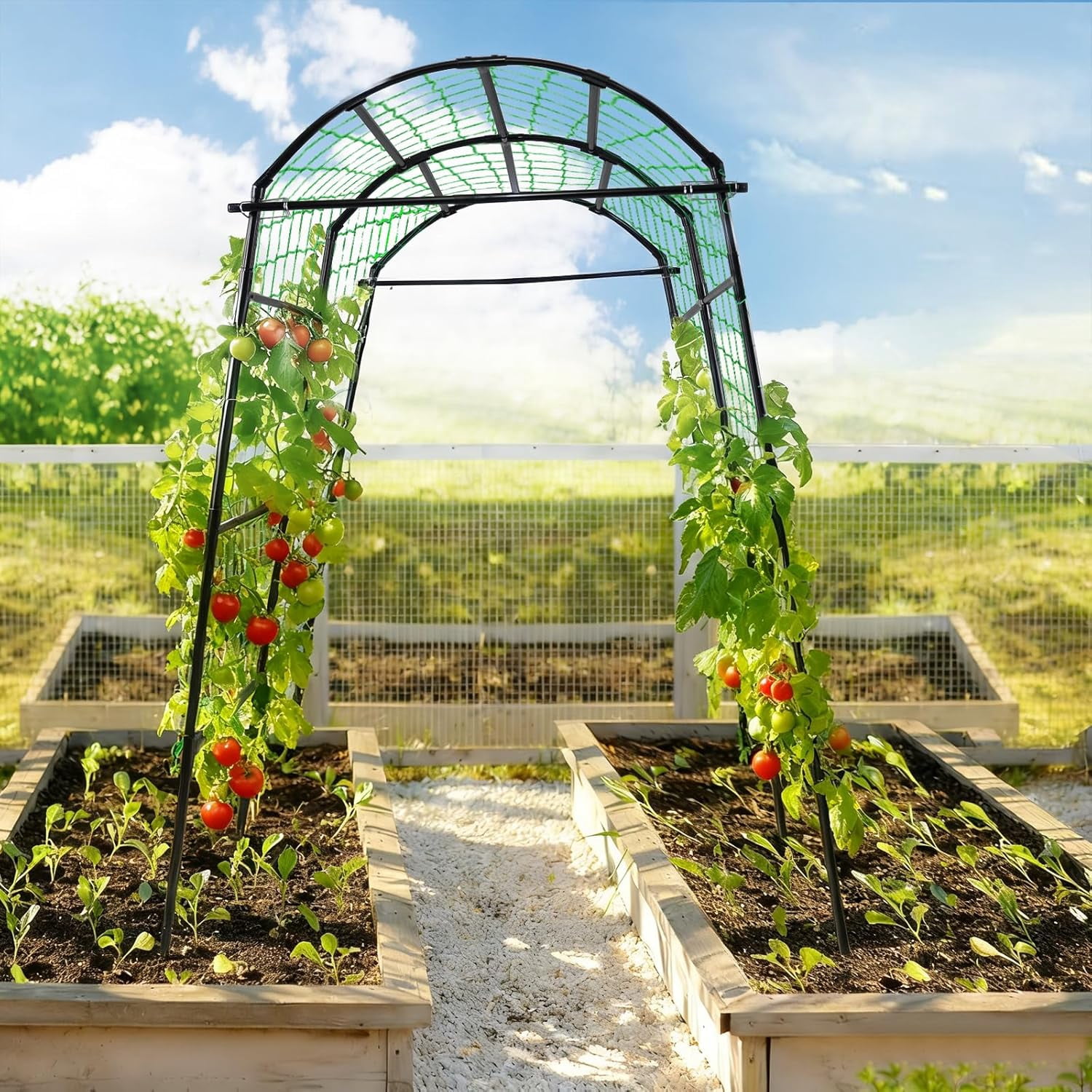Garden Arch Tunnel Trellis for Climbing Plants Outdoor, 7 ft Tall Metal Walkway,  Archway for Vines Vegetables Yard Lawn, Cucumber Trellis for Garden Raise Bed, Black