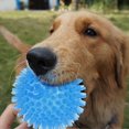 thumbnail image 3 of 3Pcs Dogs Chew Spiky Ball Soft TPR Squeaky Dog Ball Toys Floatable Dog Pool Toy Reduce Anxiety Toss Fetch Toys for Boredom Teeth Cleaning Dog Chew Toys for Small and Medium Dogs, 3 of 10