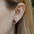 thumbnail image 2 of Rainbow Chameleon Novelty Silver Plated Stud Earrings, 2 of 3