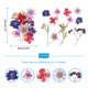 thumbnail image 2 of Flores prensadas secas, hojas florales reales secas para manualidades de bricolaje multicolor, 2 of 6
