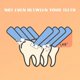 thumbnail image 4 of Kid's Electric Toothbrush Silicone Papanicolaou Training U-shaped Teeth Brush, 4 of 5
