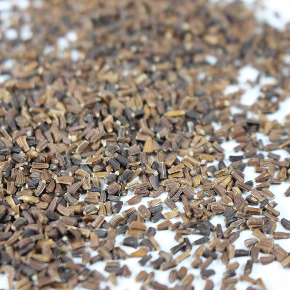 Chrysanthemum Flower Garden Seeds Broad Leaf, Edible 3 g Packet