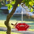 thumbnail image 5 of Hummingbird Feeders for Outdoors, Hummingbird Feeder and Built-in Ant Moat, 30 Feeder Ports, Hummingbird Feeders for Outdoors Hanging Ant and Bee Proof, 5 of 6