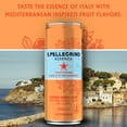 thumbnail image 5 of S.Pellegrino Essenza Tangerine and Wild Strawberry Flavored Mineral Water with Natural CO2 Added, 267.6 fl oz, 5 of 9