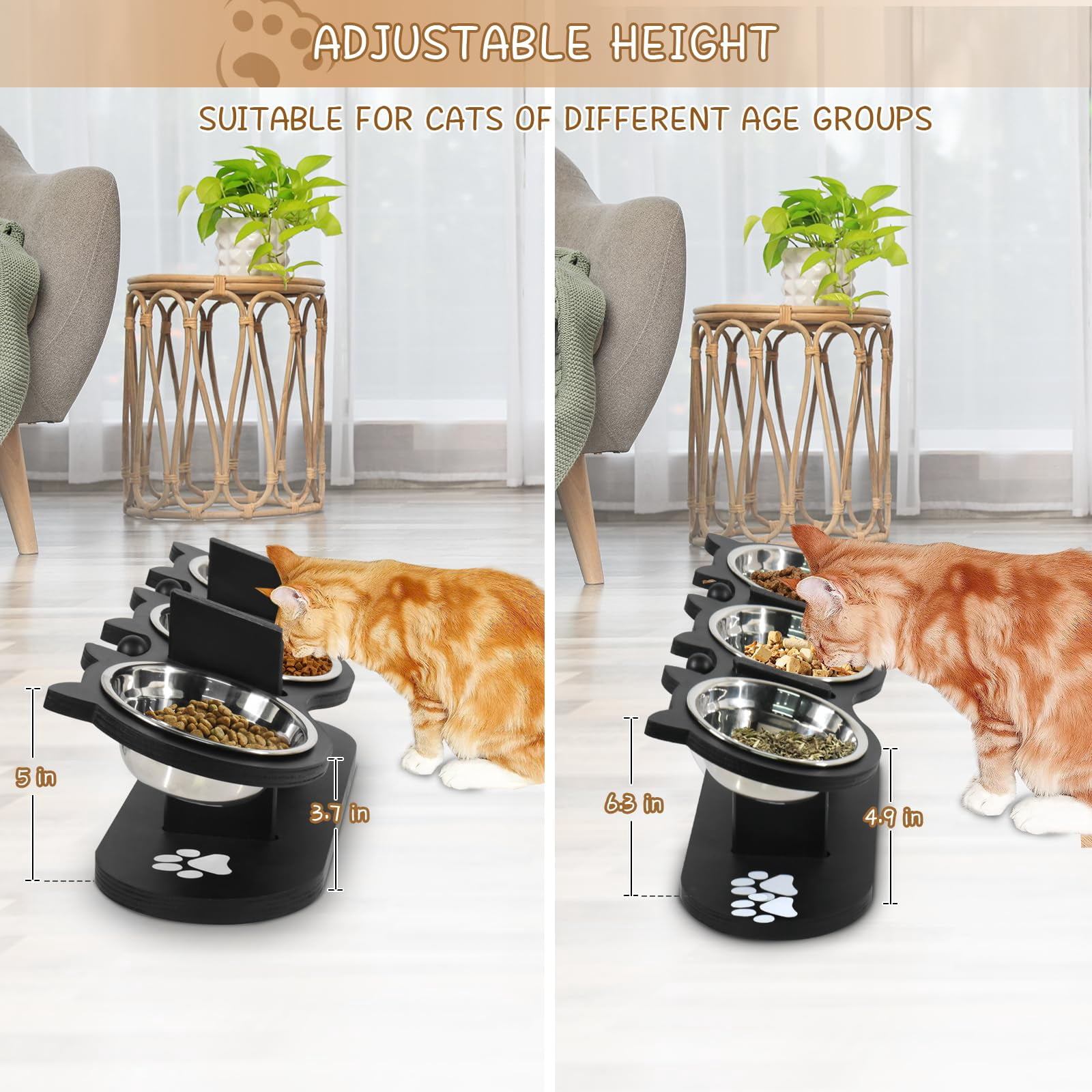Adjustable Elevated Cat Bowls - 3 Stainless Steel 17° Tilted Pet Bowls with Black Stand for Indoor Cats/Small Dogs-Black