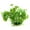 Green, variant on Walbest Plastic Leaf Plant Lotus Grass, Hiding Spot for Fish, Reptiles, Amphibians, Pink, 1Pc