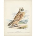 thumbnail image 2 of Meyer, H.L. 12x14 White Modern Wood Framed Museum Art Print Titled - Hawk Owl, 2 of 4