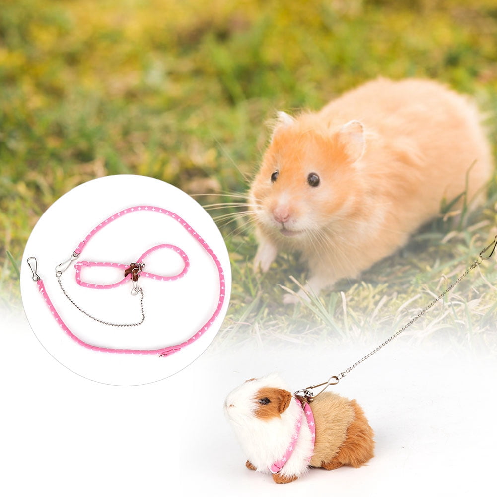 guinea pig leash walmart