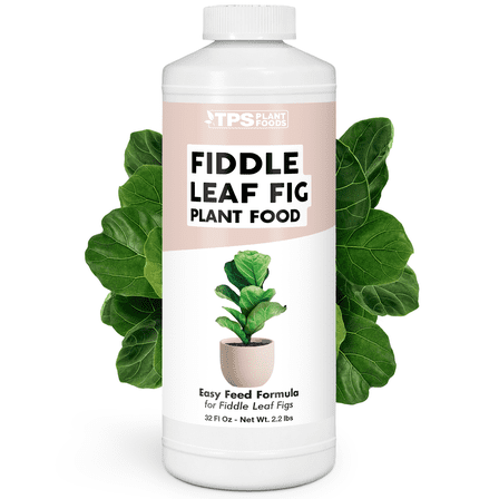 Fiddle Leaf Fig Plant Food for All Fig and Other Ficus Trees, Liquid Houseplant Fertilizer, 32 oz (1 Quart)