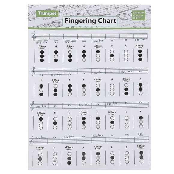 Guitar Trumpet Chord Poster Trumpet Instructional Poster Trumpet Notes Chart Trumpet Chord Guide