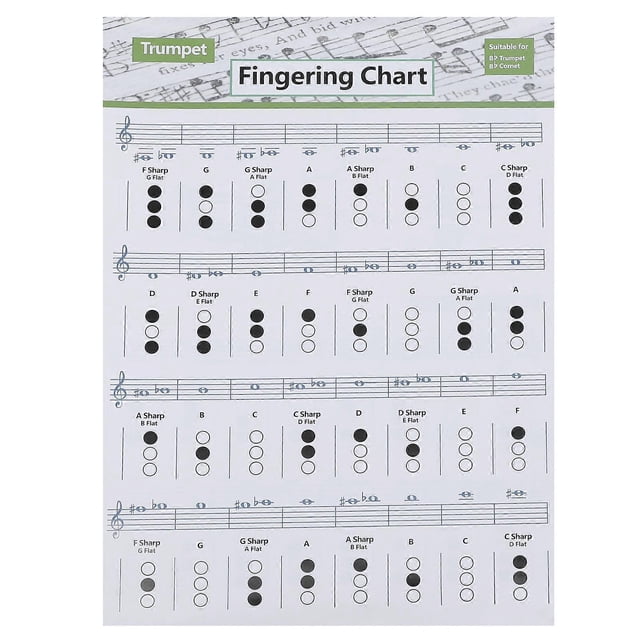 Guitar Trumpet Chord Poster Trumpet Instructional Poster Trumpet Notes Chart Trumpet Chord Guide