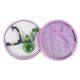 thumbnail image 4 of Women's Aromatherapy Necklace, Combining Fashion and Odor Elimination Features, 4 of 5