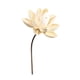 thumbnail image 5 of Ramo de flores secas para jarrón, arreglo floral con plantas secas, bricolaje decorativo para bodas, salas de estar, dormitorios, decoración del hogar Estilo M, 5 of 8