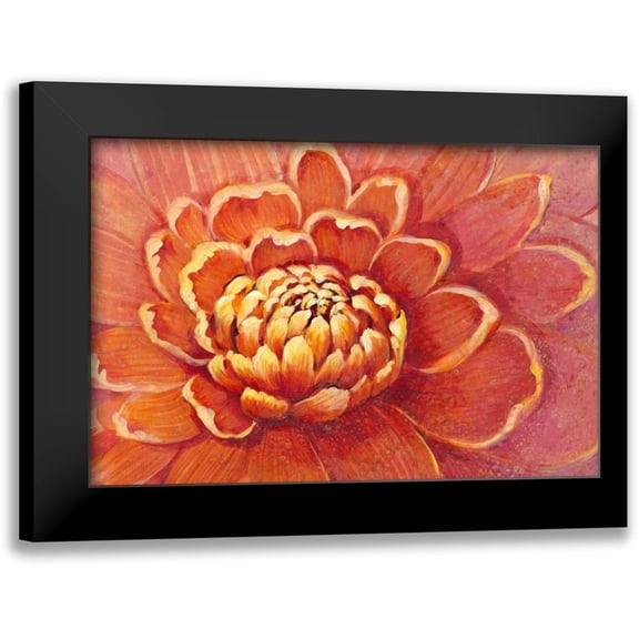 OToole, Tim 14x11 Black Modern Framed Museum Art Print Titled - Micro Floral II