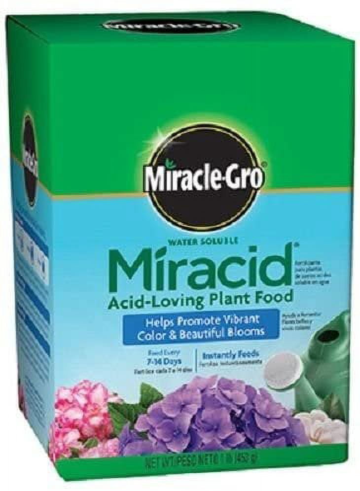 Miracle Gro 1750011 Miracid, 1 LB, 30-10-10 Water Soluble Acid Loving Plant Food - Quantity 8