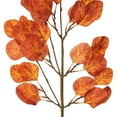 thumbnail image 3 of Vickerman 32" Rust Orange Artificial Silver Dollar Eucalyptus Leaf Spray, 3 per bag., 3 of 5