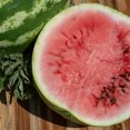 thumbnail image 6 of Plant Good Seed Sweet Dakota Rose Watermelon Seeds: Full Sun Heirloom Annual, Fast Growing Organic, 6 of 6