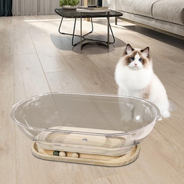 Cápsula espacial para gatos, Interior transparente para gatos, juego de casa ovalada para gatos, centro de actividades Universal, nido para gatitos, h M