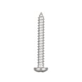 thumbnail image 2 of Tornillo de rosca Irfora A2 DIN7981 # 8 4.2mm 304 Tornillo de acero inoxidable Avellanado Tornillos de madera penetrantes 4.2mm * 30mm Irfora Tornillo de rosca, 2 of 7