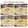 thumbnail image 7 of ODIKA 4'x6' Ultra-Soft Area Rug, Hand Holding Cup Graphic Art With Boho Vintage Geometric Border Funny Flowing None Washable, Bare feet friendly, Silk-Touch for Bedroom Home office, 7 of 7
