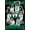 Black Framed Version, variant on NBA Boston Celtics - Team 24 Wall Poster, 22.375" x 34"