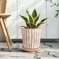 thumbnail image 2 of My Texas House 8" Shell Planter Terra, High-Quality Ceramic Pot, 8.1" Diameter x 8.5" Height, Unique Design, 2 of 8