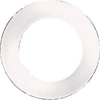 Danco 5/8 in. D Nylon Washer 1 pk