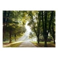 thumbnail image 3 of Tiptophomedecor Landscape Wallpaper Wall Mural - Morning Walk, 3 of 4