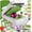 White Sand/Green, variant on Mueller Pro-Series 10-in-1, 8 Blade Vegetable Chopper, Onion Mincer, Cutter, Dicer, Egg Slicer with Container, French Fry Cutter Potato Slicer, Home Essentials, Salad Chopper White Sand/Green