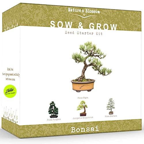 Nature's Blossom Bonsai Tree Kit - Grow 4 Types of Bonsai Trees From Seed. Indoor / Outdoor Gardening Starter Set with Tree Seeds, Soil, Pots, Labels, Growing Guide.
