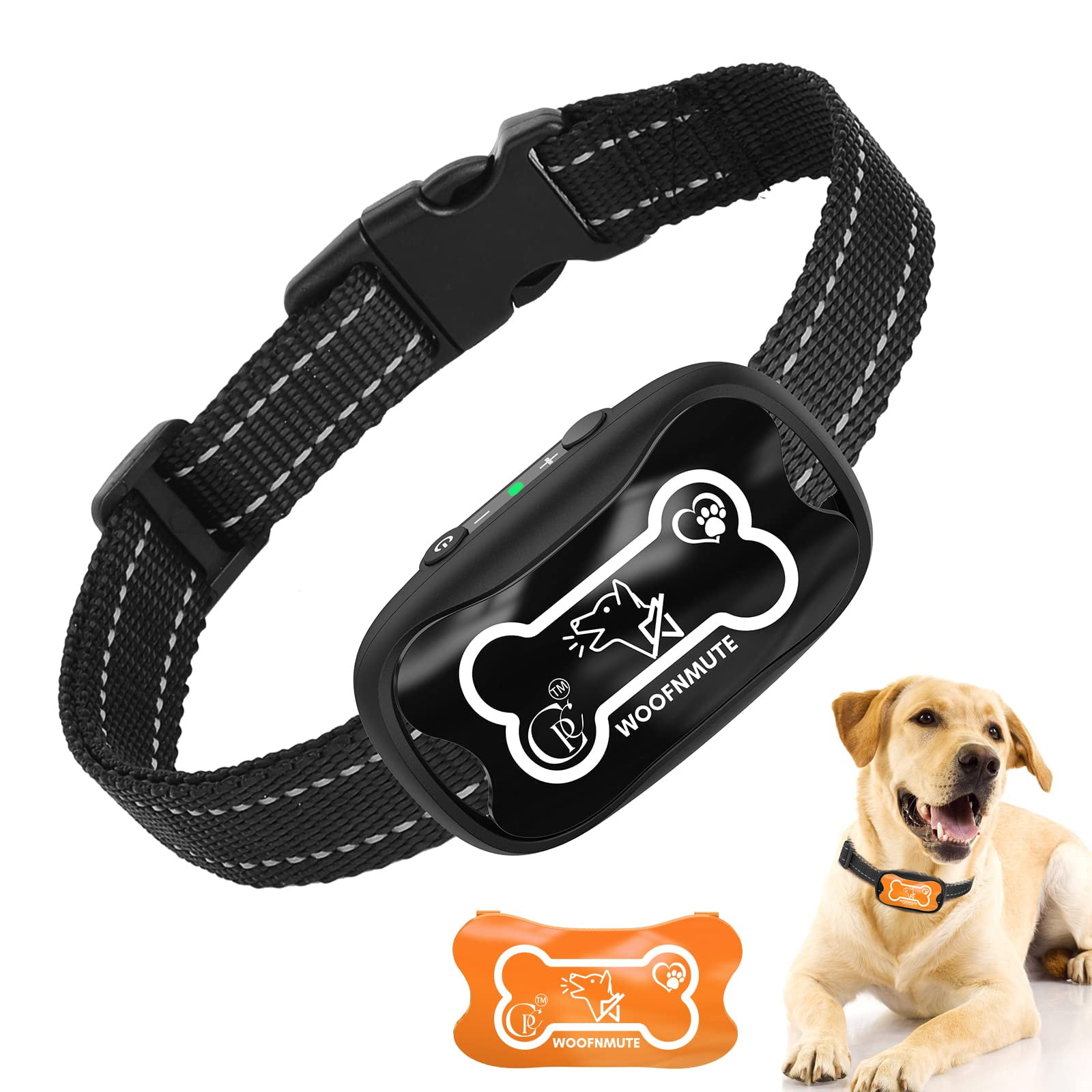 Are Electric Dog Collars Cruel