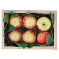 thumbnail image 3 of Casa de muñecas fruta de cocina manzanas de troncos de arcilla fruta de casa de muñecas linda para reuniones familiares ANGGREK Otros, 3 of 8