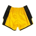 thumbnail image 2 of Fairtex BS1701 Yellow Slim Cut Muay Thai Boxing Short, 2 of 5