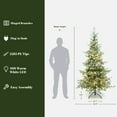 thumbnail image 2 of LuxenHome 7Ft Pre-Lit Artificial Pine Christmas Tree with Dusty Green PE Tips & Metal Stand, 2 of 9