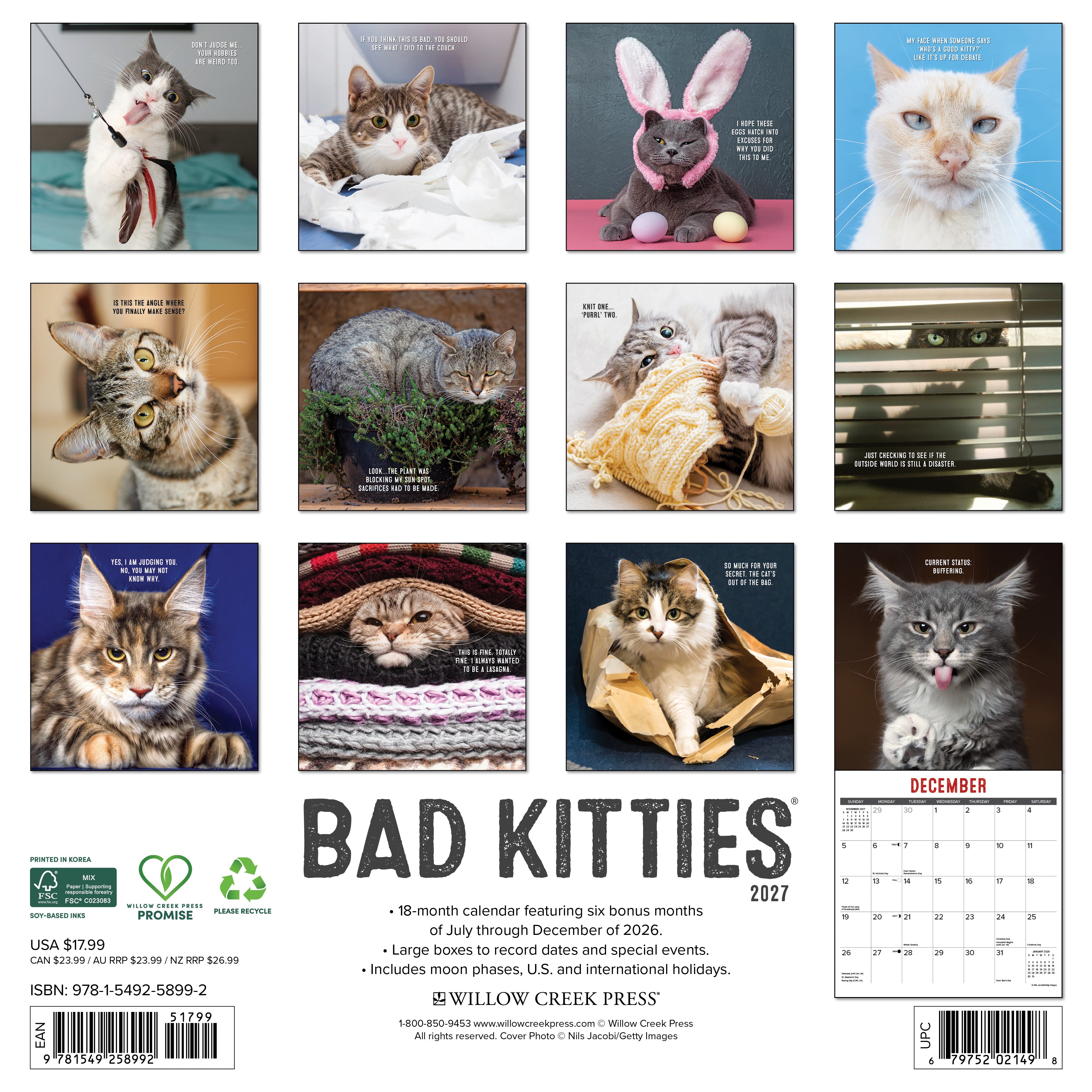Willow Creek Press, Bad Kitties 2027 Wall Calendar