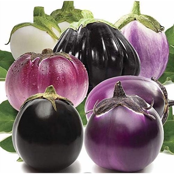 GSDWIUEW Graines Aubergine Aubergine Mélange Rond Légume Patrimonial pour la Plantation