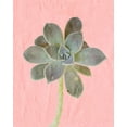 thumbnail image 2 of Kimberly, Allen 26x32 Gold Ornate Wood Framed with Double Matting Museum Art Print Titled - On Pink B, 2 of 4