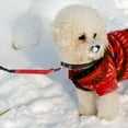 thumbnail image 3 of OULII 1Pcs Reflective Stitching Pet Leash for Training and Hiking 52.27X0.98X0.39in, 3 of 8