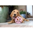 thumbnail image 4 of Pelota de rompecabezas para perros JW Pet Hol-ee Roller™ de caucho natural, 4 of 4