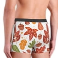 thumbnail image 5 of Disketp Acorns And Autumn Leaves Men'S Boxer Briefs,Soft And Breathable Cotton Underwear With Comfortflex Waistband, 5 of 9