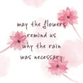 thumbnail image 2 of Wang, Melissa 15x15 White Modern Wood Framed Museum Art Print Titled - Summer Quote I, 2 of 4