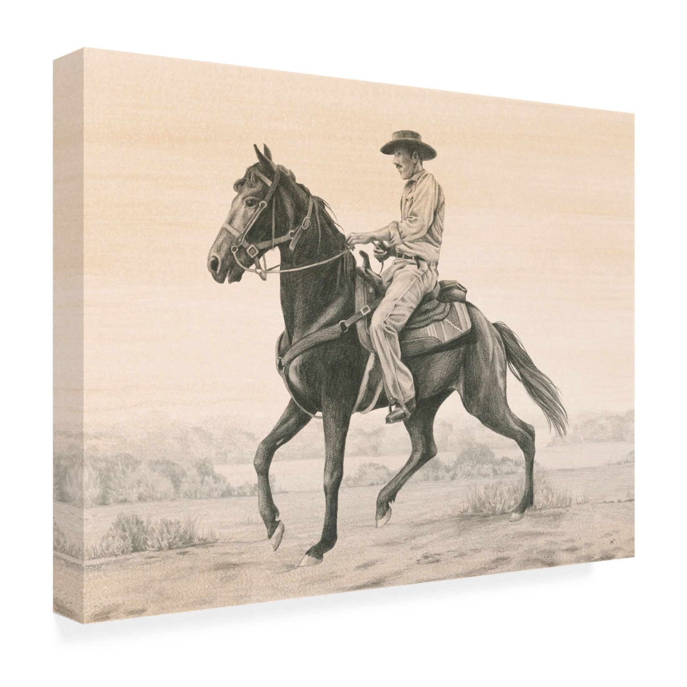 Trademark Fine Art Grace Popp  Desert Ranger II Canvas Wall Art