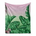thumbnail image 1 of Botany Soft Flannel Fleece Blanket, Exotic Flowering Plants Wild Orchid Blooms Romantic Mother Earth Print, Cozy Plush for Indoor and Outdoor Use, 60" x 80", Hunter Green Dried Rose, by Ambesonne, 1 of 6